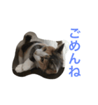 Salang stamp（個別スタンプ：8）