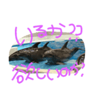 色々書きます‼（個別スタンプ：4）
