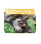チャイくん（個別スタンプ：4）