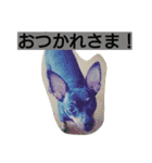 チャイくん（個別スタンプ：8）