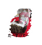 my mikuri（個別スタンプ：6）