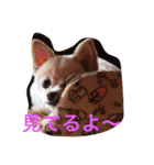 ONE sisters'（個別スタンプ：2）