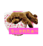 ONE sisters'（個別スタンプ：3）