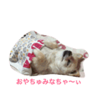 ONE sisters'（個別スタンプ：4）