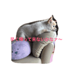 ONE sisters'（個別スタンプ：8）