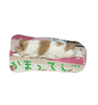ONE sisters'（個別スタンプ：11）