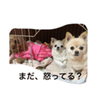 ONE sisters'（個別スタンプ：14）