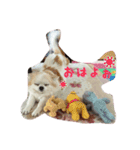 ONE sisters'（個別スタンプ：15）