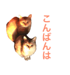 癒される猫たち（個別スタンプ：14）
