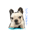 坊です（個別スタンプ：2）