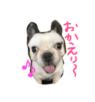 坊です（個別スタンプ：3）
