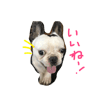 坊です（個別スタンプ：4）