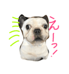 坊です（個別スタンプ：11）