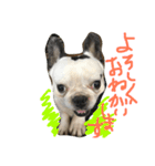 坊です（個別スタンプ：14）