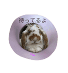 うさぎのうめさん（個別スタンプ：2）