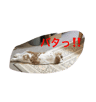 うさぎのうめさん（個別スタンプ：6）