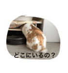 うさぎのうめさん（個別スタンプ：16）