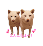 モフモフ親子☆凛と奈々（個別スタンプ：1）