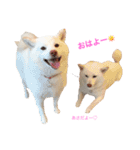 モフモフ親子☆凛と奈々（個別スタンプ：3）