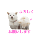 モフモフ親子☆凛と奈々（個別スタンプ：5）