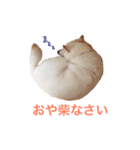 モフモフ親子☆凛と奈々（個別スタンプ：6）