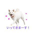 モフモフ親子☆凛と奈々（個別スタンプ：7）