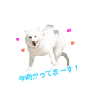 モフモフ親子☆凛と奈々（個別スタンプ：9）
