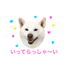 モフモフ親子☆凛と奈々（個別スタンプ：10）
