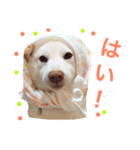 モフモフ親子☆凛と奈々（個別スタンプ：13）