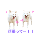 モフモフ親子☆凛と奈々（個別スタンプ：14）