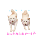 モフモフ親子☆凛と奈々（個別スタンプ：15）