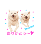 モフモフ親子☆凛と奈々（個別スタンプ：17）