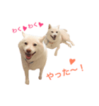 モフモフ親子☆凛と奈々（個別スタンプ：18）