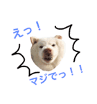モフモフ親子☆凛と奈々（個別スタンプ：19）