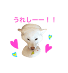 モフモフ親子☆凛と奈々（個別スタンプ：20）