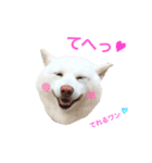 モフモフ親子☆凛と奈々（個別スタンプ：21）