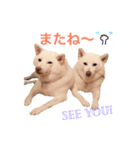 モフモフ親子☆凛と奈々（個別スタンプ：24）
