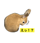 うさちゃんズ（個別スタンプ：8）
