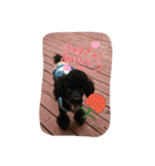 My dog Mickey cute stamps part 2.（個別スタンプ：3）