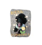 My dog Mickey cute stamps part 2.（個別スタンプ：4）