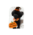 My dog Mickey cute stamps part 2.（個別スタンプ：6）