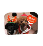 My dog Mickey cute stamps part 2.（個別スタンプ：7）