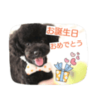 My dog Mickey cute stamps part 2.（個別スタンプ：8）