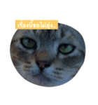 ROUNDY LAZY DAY（個別スタンプ：3）