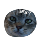 ROUNDY LAZY DAY（個別スタンプ：9）