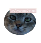 ROUNDY LAZY DAY（個別スタンプ：15）