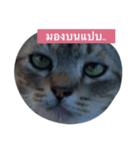 ROUNDY LAZY DAY（個別スタンプ：16）