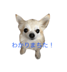 けいくれちゃん（個別スタンプ：4）