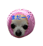 けいくれちゃん（個別スタンプ：9）