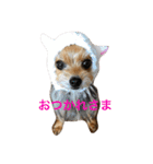 けいくれちゃん（個別スタンプ：11）